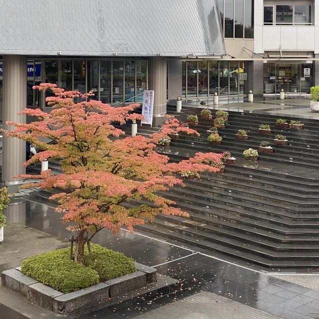 【岩手県】歴史ある赤レンガの建物と秋の紅葉を楽しむ
