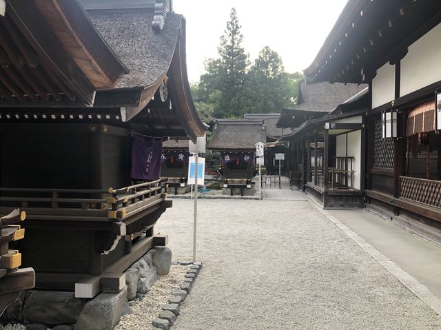 京都⛩ 流鏑馬や葵祭で有名な下鴨神社をご紹介