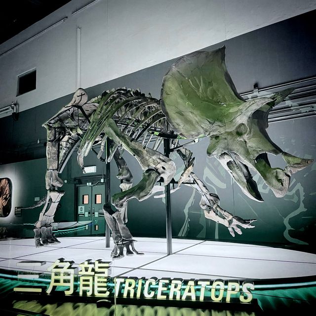 小心！ 🦖🦕嚟啦！