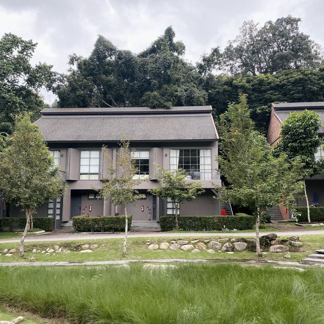 Flora Creek Chiang Mai