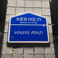 꼭 쓸모있어야 어른인가?, useless adult👾
