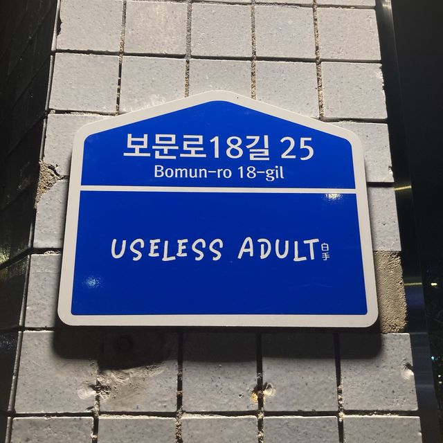 꼭 쓸모있어야 어른인가?, useless adult👾