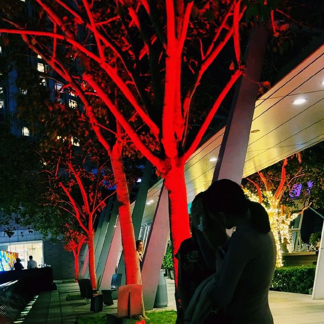 好 Chill🌳🌴📸 ～ IFC🥂🍷🍹