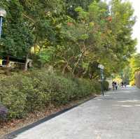 鬧市中的公園 — 九龍公園
