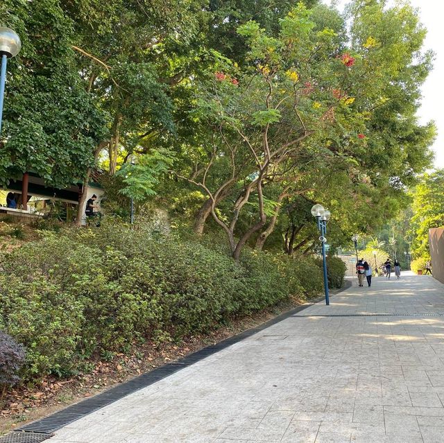 鬧市中的公園 — 九龍公園