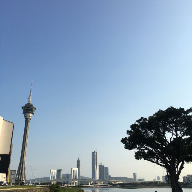 마카오타워 “360 Cafe” 마카오타워 “360 Cafe”