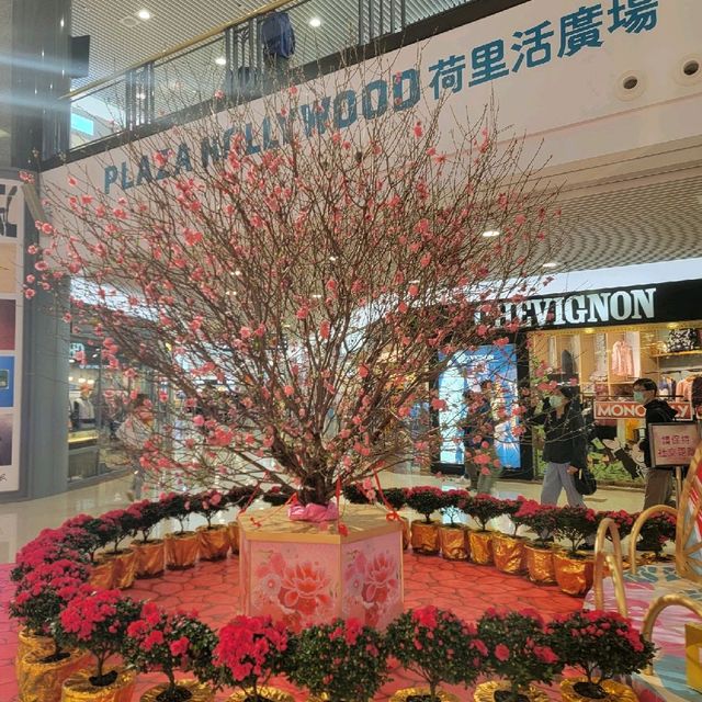 燈樹千光照💡何處聞燈不看來？🎋🧧