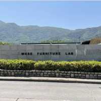 muse furniture lab 