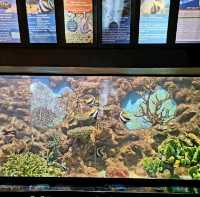 Phuket aquarium