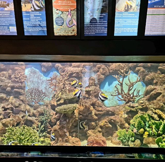 Phuket aquarium