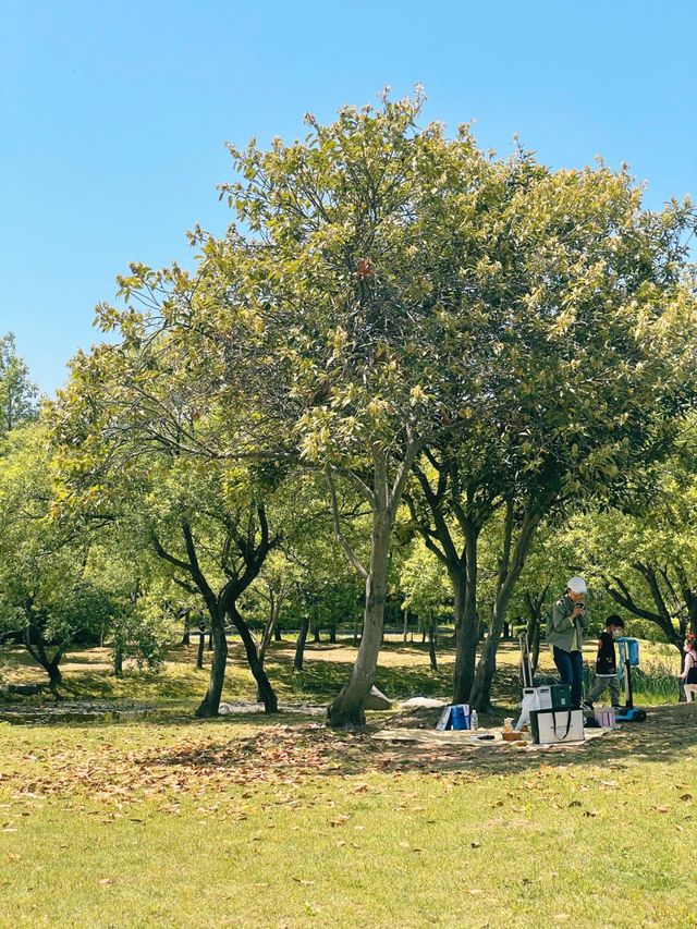 봄나들이 가기좋은 김해 봉황대공원 🌳