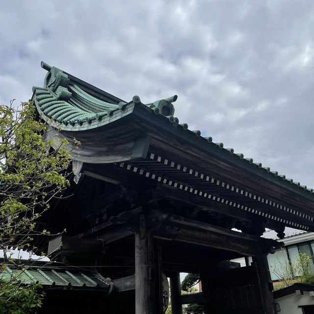 この世の極楽に鎌倉観光なら長谷寺