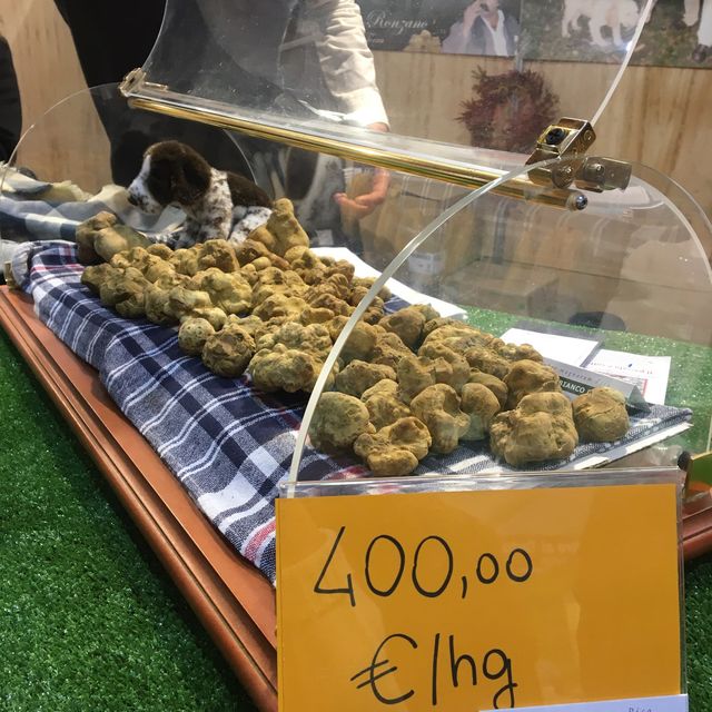  ALBA白松露國際展覽會 