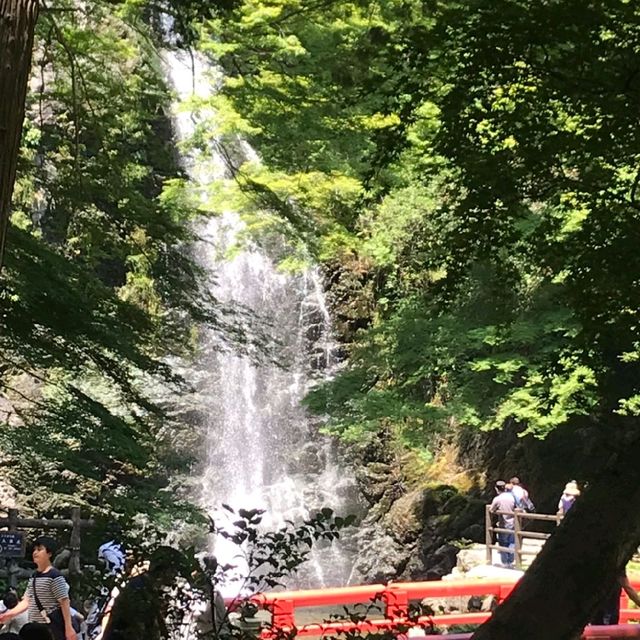 山本珈琲