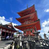 【京都】京都といえば！誰もが知る有名なお寺