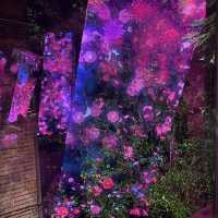 Teamlab: a forest where gods live 