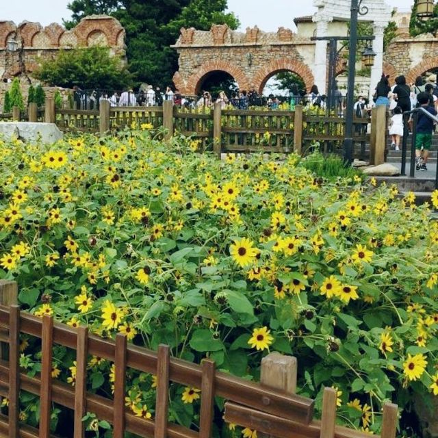 東京ディズニーシーの野菜と花壇