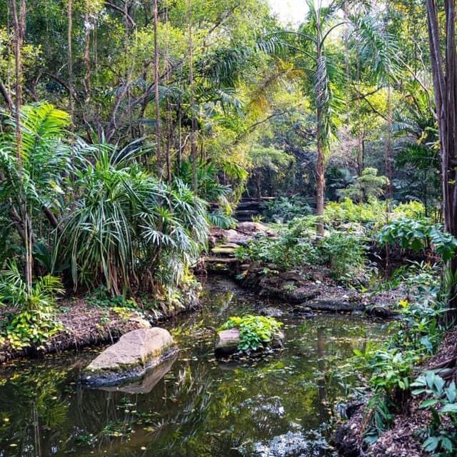 Suan luang park Rama IX 