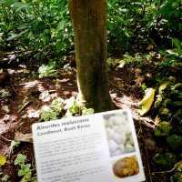 The Raffles Garden At Fort Canning Park