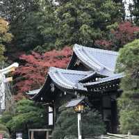 　秋の寳登山神社は綺麗です！