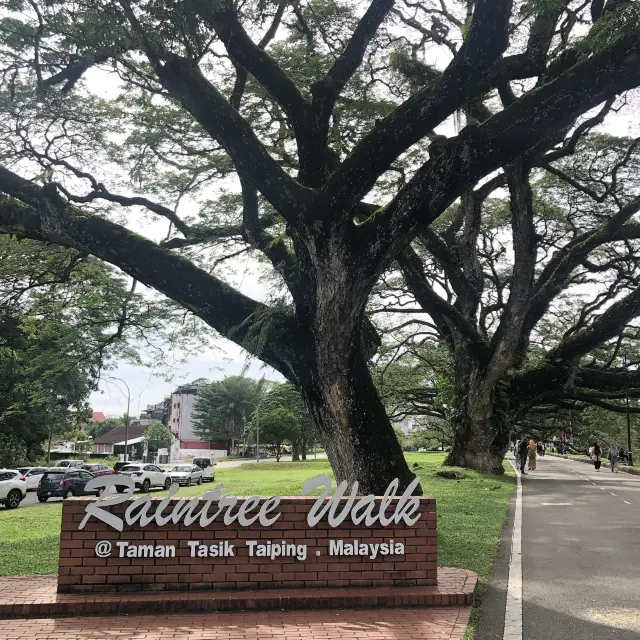 The Raintree Walk