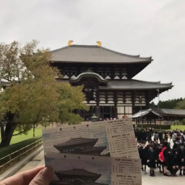 🇯🇵 Todai-Ji Temple