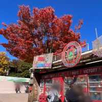韓国【エバーランド】テーマパークで愉しむ韓国の秋🍁