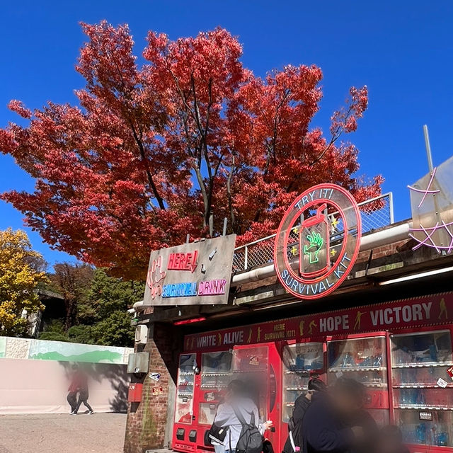 韓国【エバーランド】テーマパークで愉しむ韓国の秋🍁