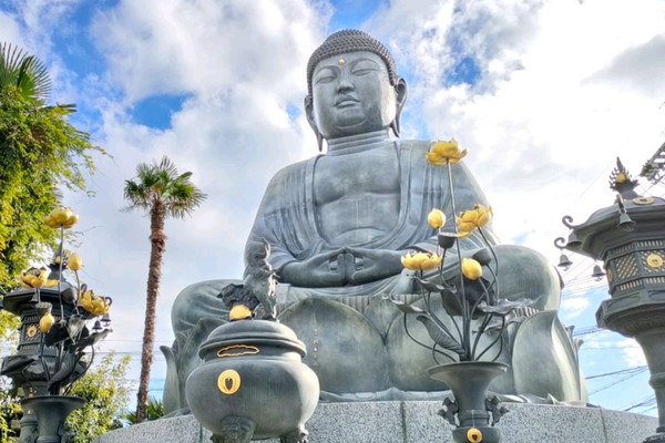 1i6692224sxt3wnmpB488_R_600_40