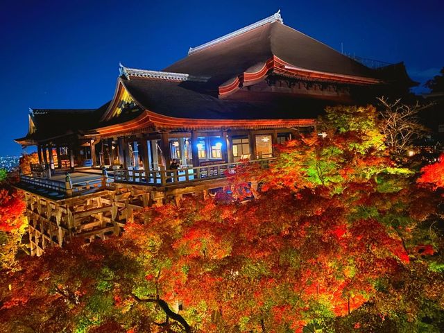 秋の京都。清水寺のライトアップ。『清水の舞台』