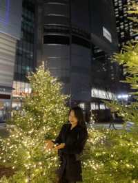 잠실의 월드파크에 크리스마스가 왔어요🎄