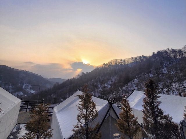 공기 맑은 평창, 별 보는 글램핑 🏕
