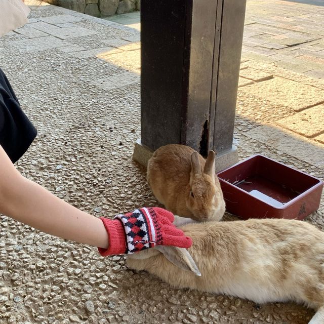 【石川】月うさぎの里