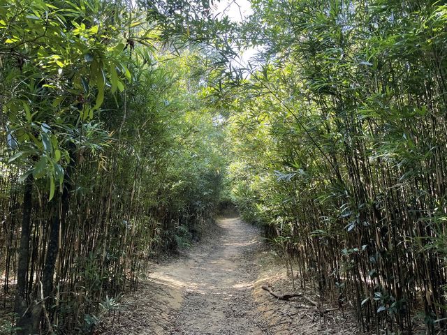 藍藍天空高掛我的夢🌏彎曲山之旅 藍藍天空高掛我的夢🌏彎曲山之旅