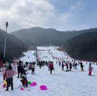 愛冰雪❄動起來⛸迎冬奥🥇