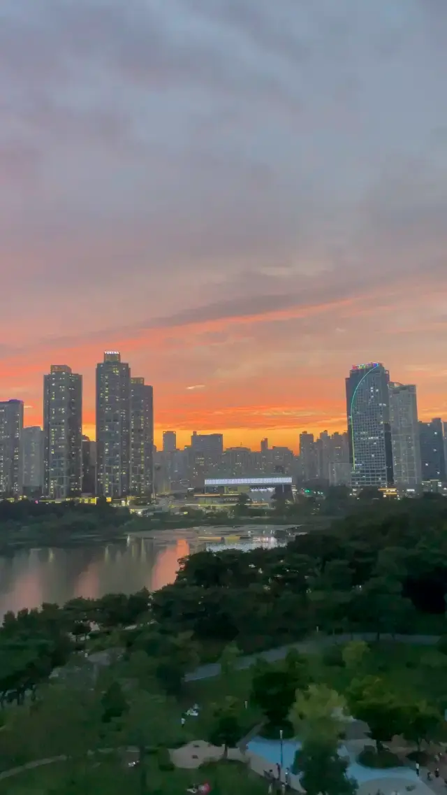 맑은날 공원 전망대에 올라 마주하는 노을뷰 🌇