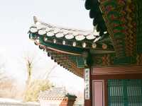 서울의 랜드마크! 경복궁의 낮과 밤