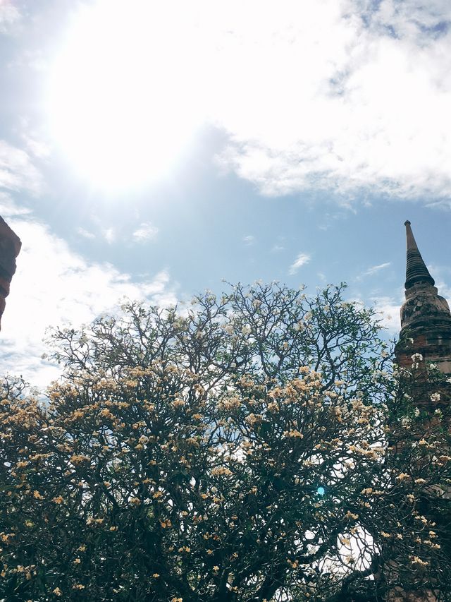 ห่มผ้าพระนอนที่อยุธยา