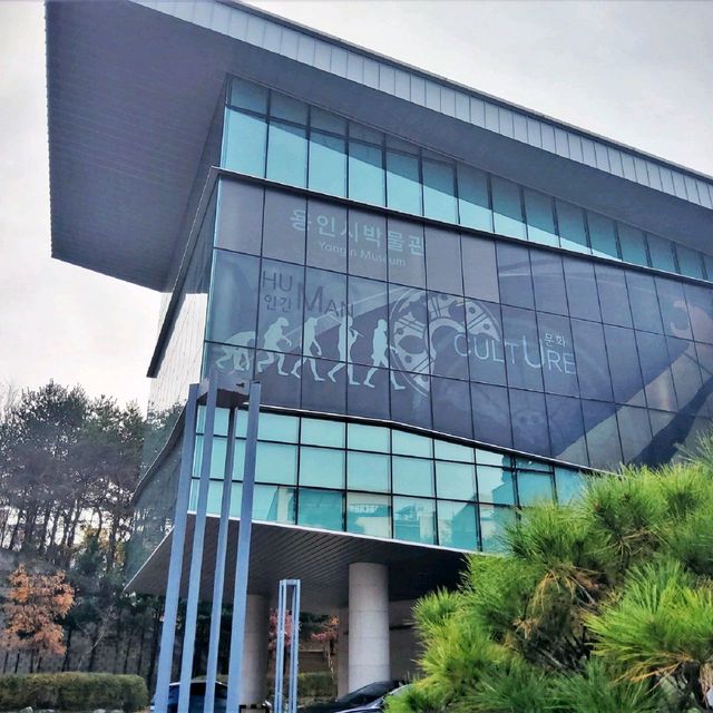 용인시의 역사를 한눈에, 용인시 박물관!