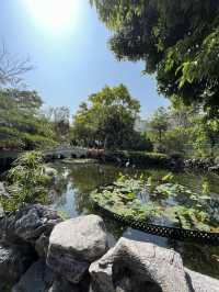 荔枝角公園放電 影相打卡 好去處🥰