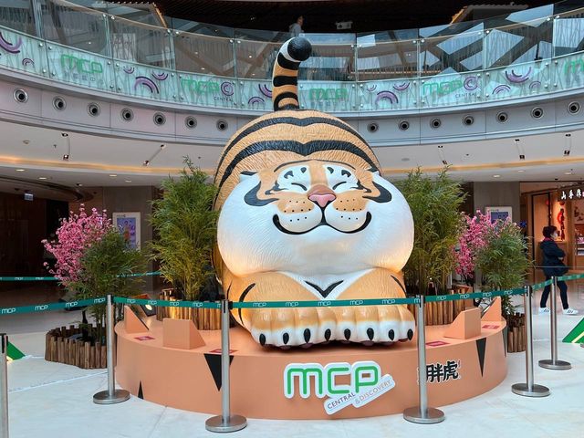 我不是胖虎@MCP CENTRAL