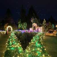Christmas lights festival at the botanical gardens 