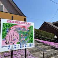 東藻琴の芝桜公園へ