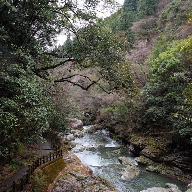 壯觀無比的中津溪谷🤩🤩｜日本高知縣