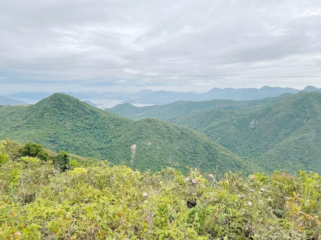 畫眉山