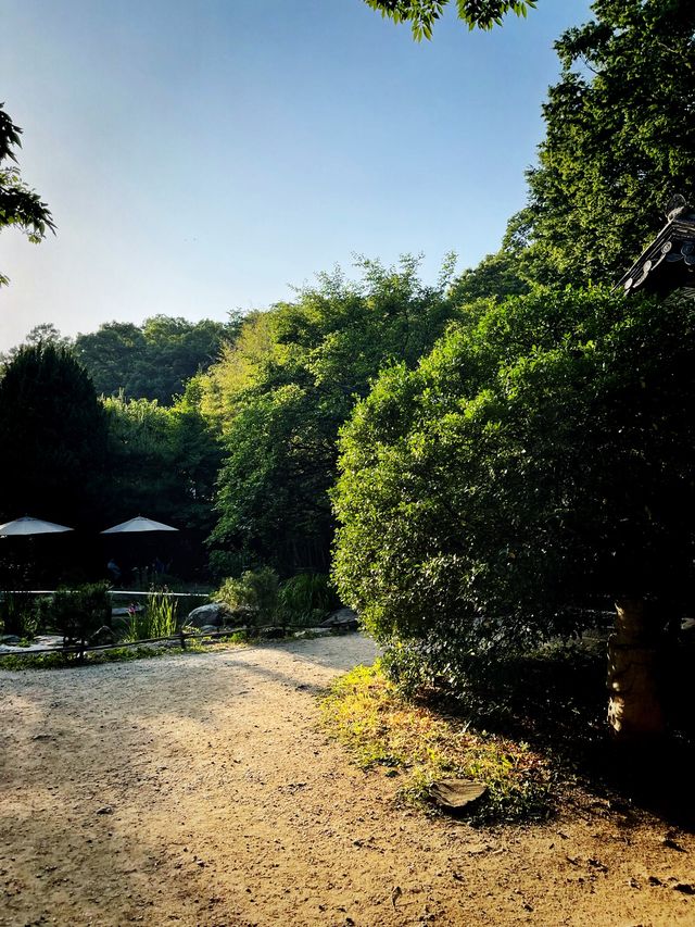 도심 속 여유를 즐길 수 있는 전통 찻집 새소리물소리