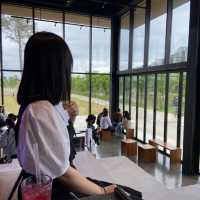 강릉 아르떼뮤지엄 옆 숲카페 “카페A”