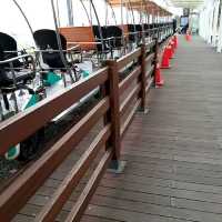 Seaside Rail Biking in Incheon