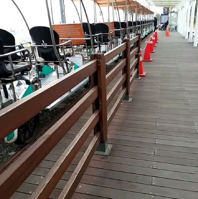Seaside Rail Biking in Incheon