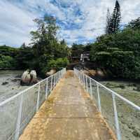 Pulau Ubin Chek Jawa Wetlands